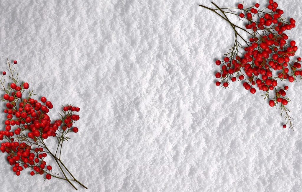 greeting card, snow, berries